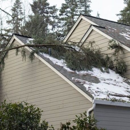 Fallen tree on house roof after winter storm damage.