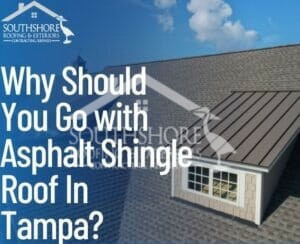 asphalt shingle roof in Tampa