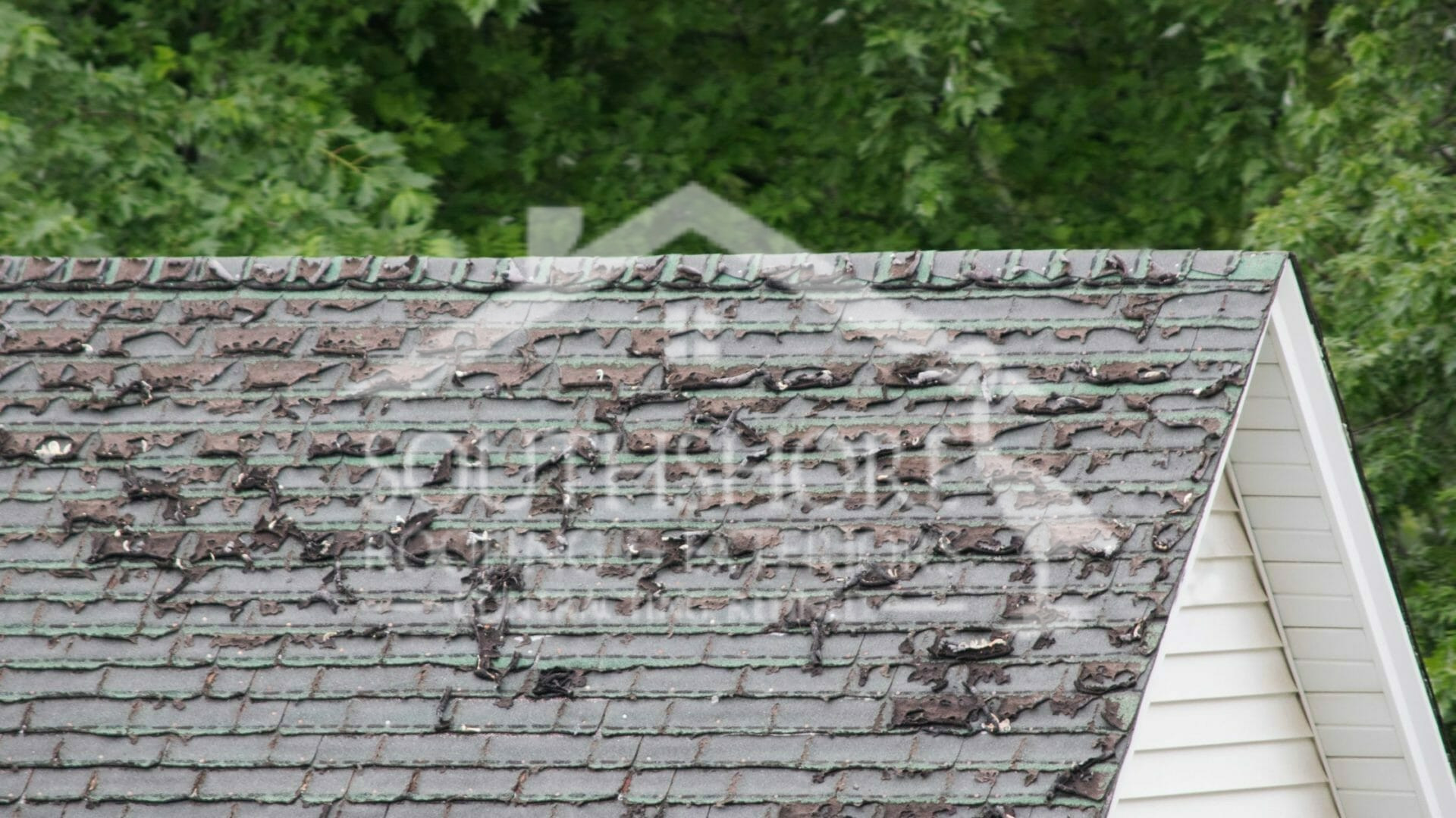 Damaged roof with missing shingles and moss growth surrounded by green trees