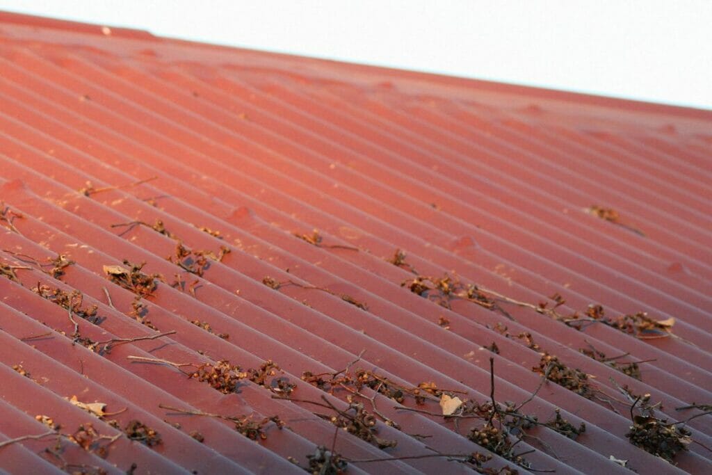 Clean Debris From Your Roof 