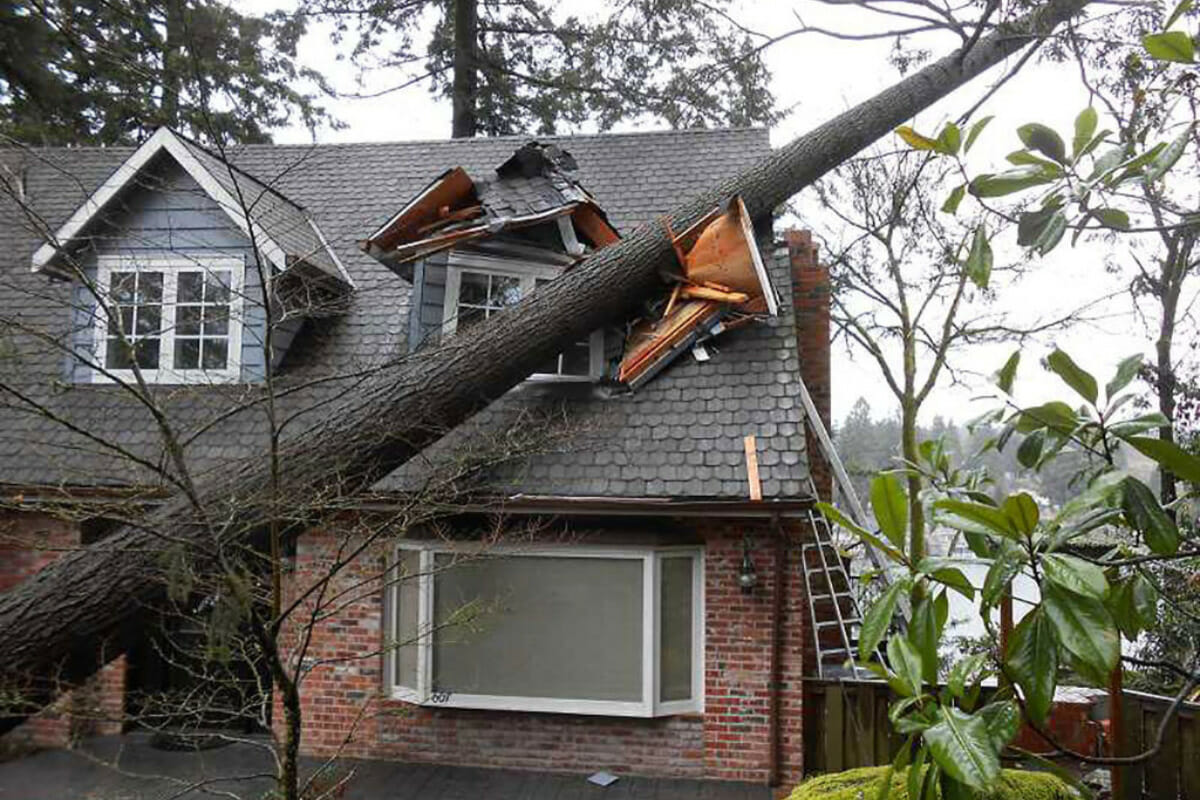 Wind Damage 