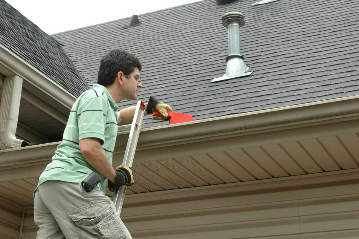 Roof Cleaning