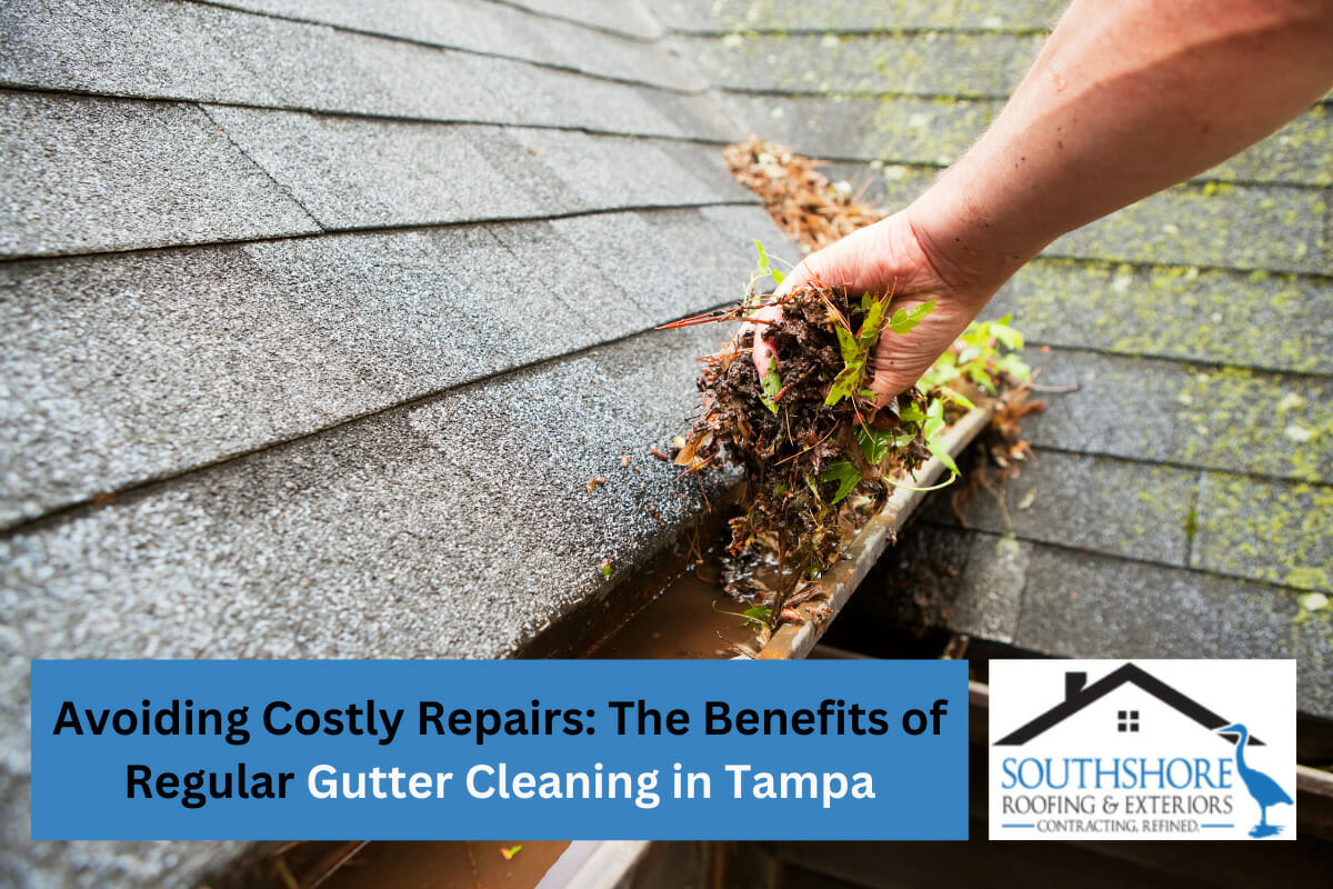 Avoiding Costly Repairs: The Benefits of Regular Gutter Cleaning in Tampa