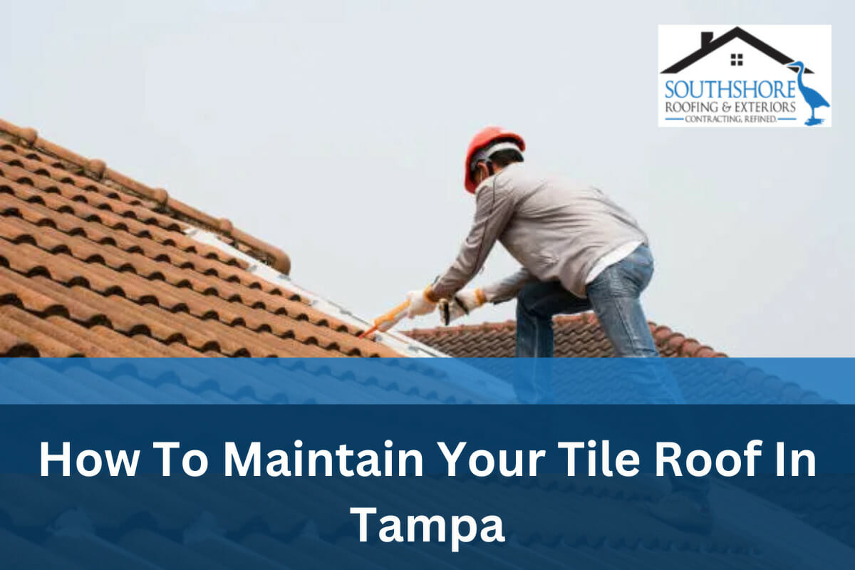 How To Maintain Your Tile Roof In Tampa