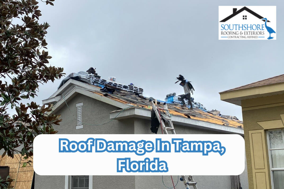 The Top Causes Of Roof Damage In Tampa, Florida