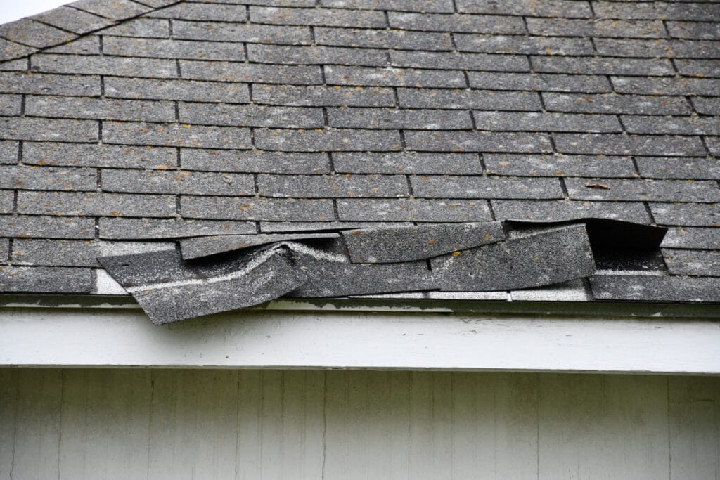 7 Signs of Roof Damage: When to Call a Clearwater Roof Repair Specialist clearwater roof repair