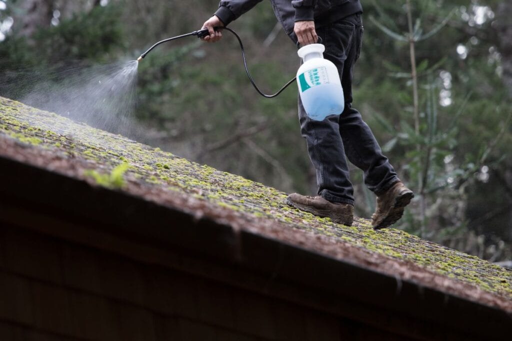 How To Remove Moss From A Roof 