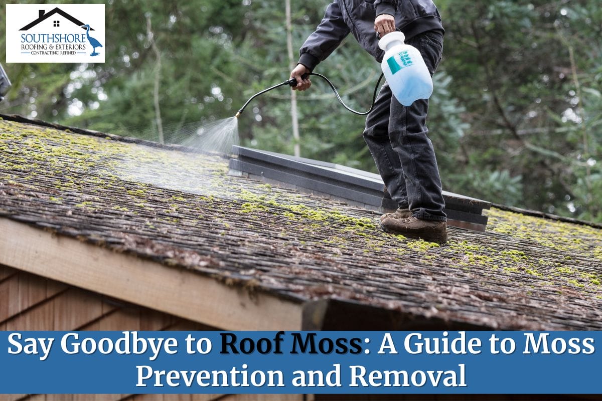Say Goodbye to Roof Moss: A Guide to Moss Prevention and Removal