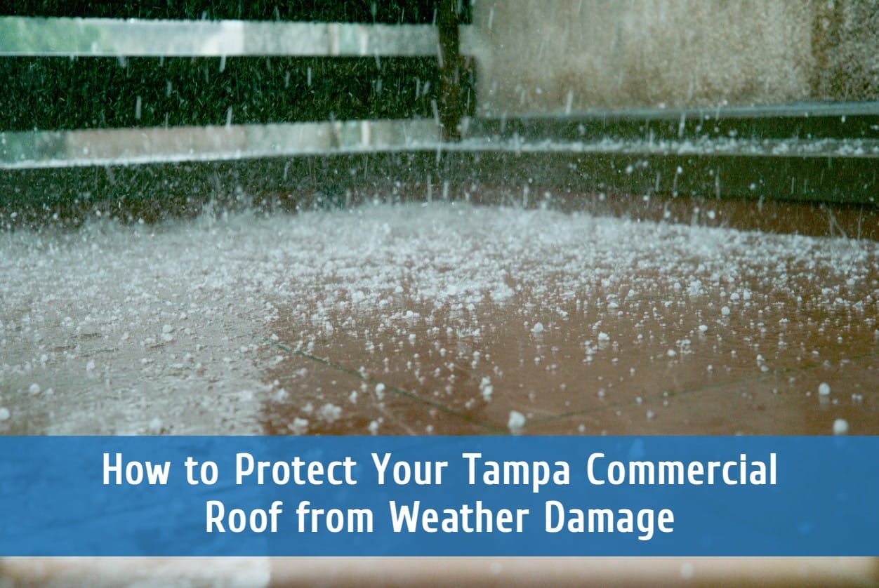 How to Protect Your Tampa Commercial Roof from Weather Damage