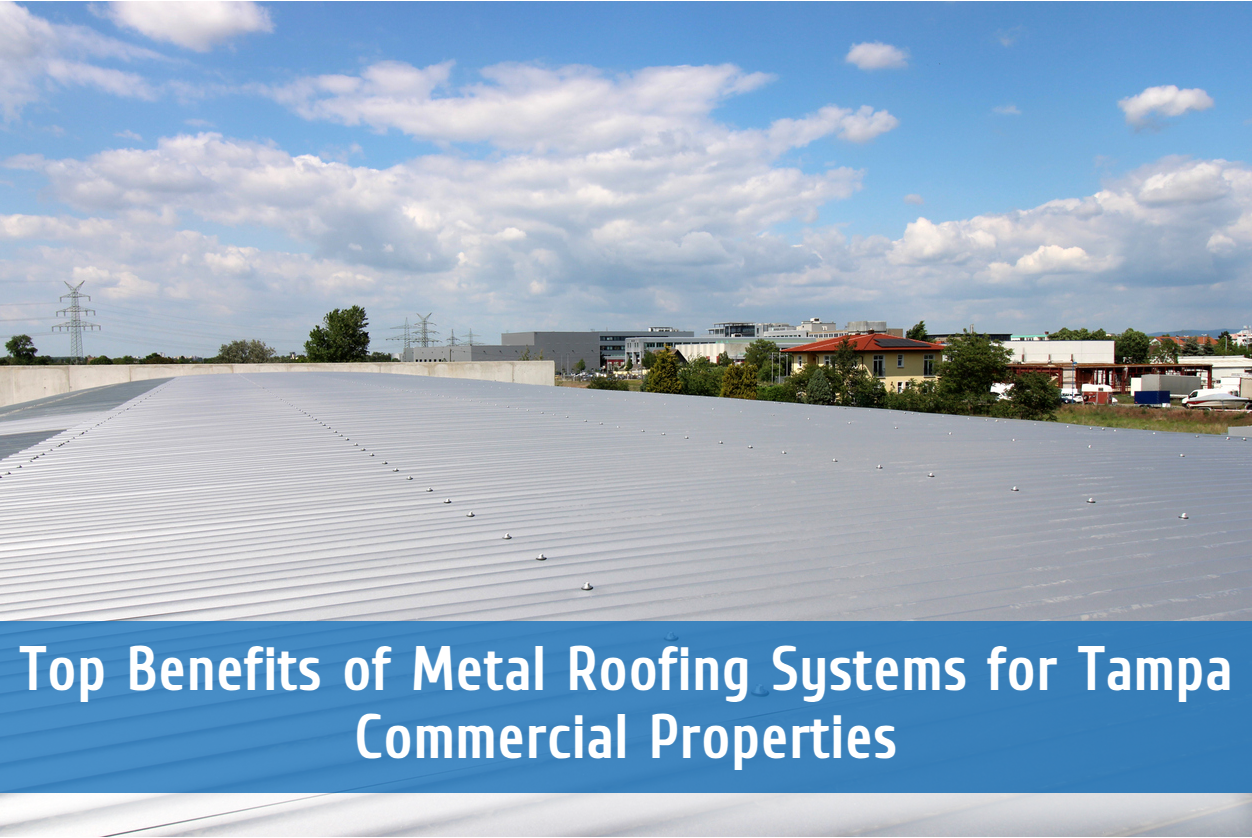Top Benefits of Metal Roofing Systems for Tampa Commercial Properties