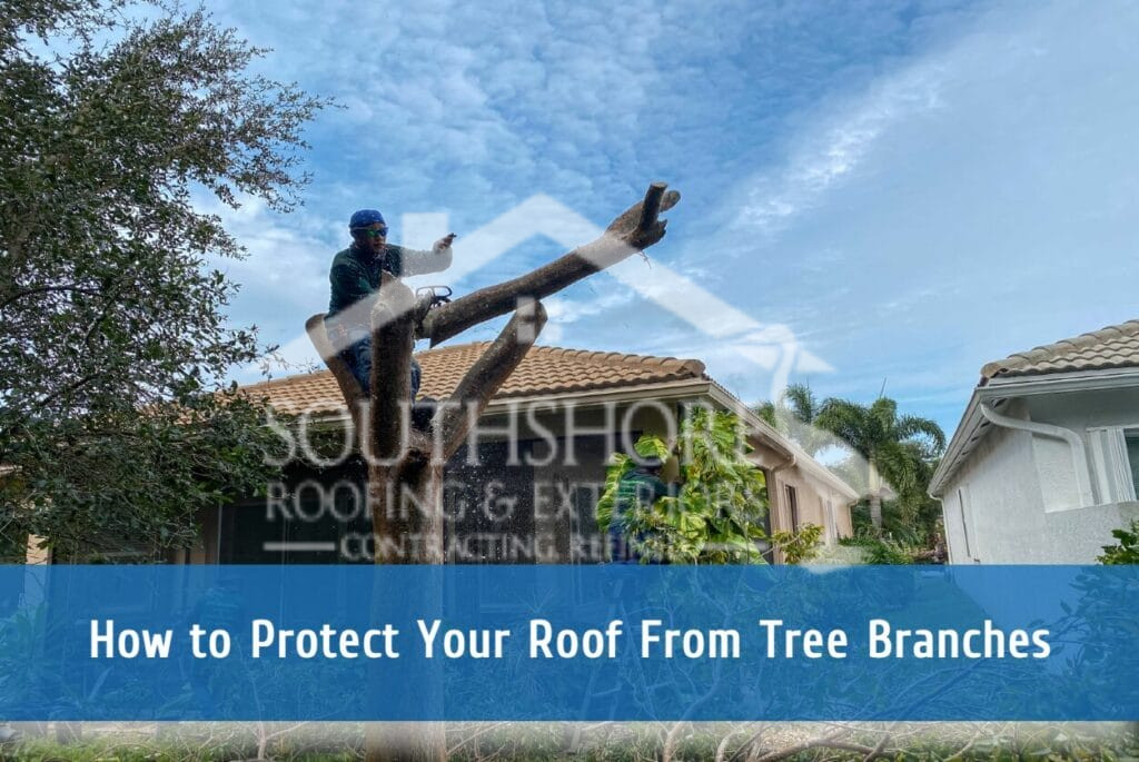 Managing tree damage for roofs
