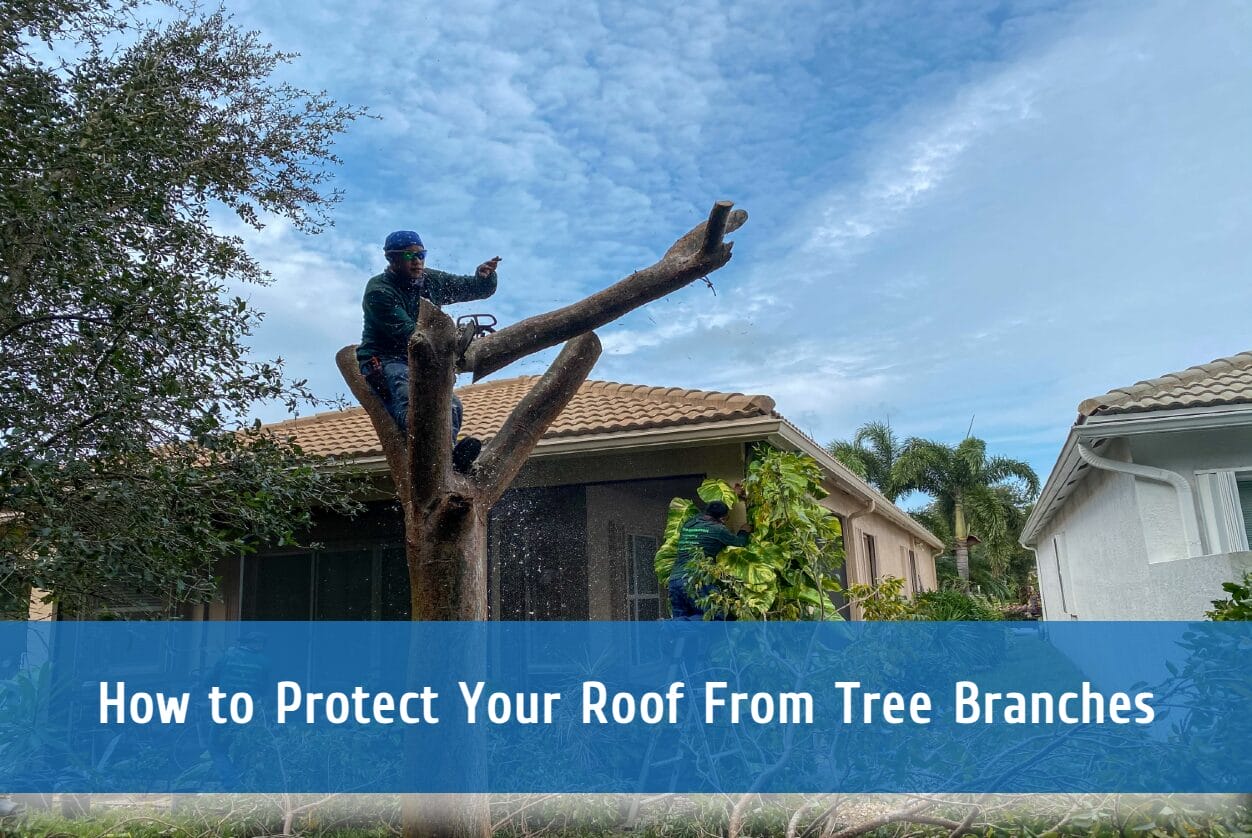 How to Protect Your Roof From Tree Branches