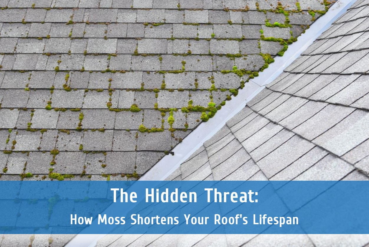 The Hidden Threat: How Moss Shortens Your Roof’s Lifespan