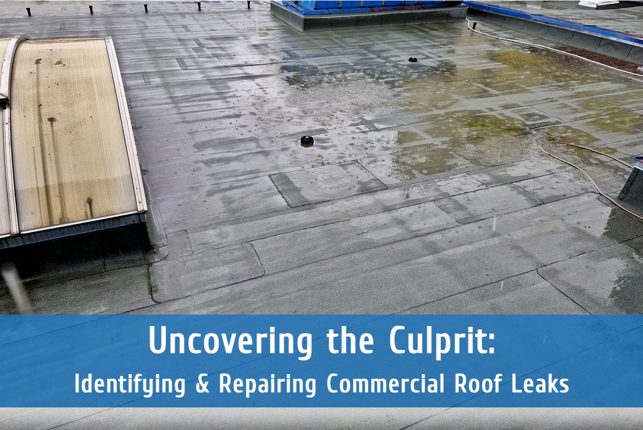 Uncovering the Culprit: Identifying & Repairing Commercial Roof Leaks