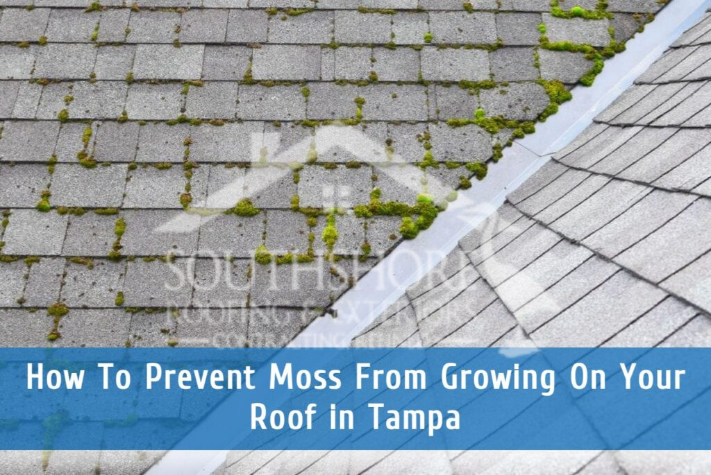 Roof moss removal