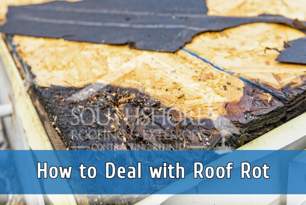 Roof rot repair in Tampa