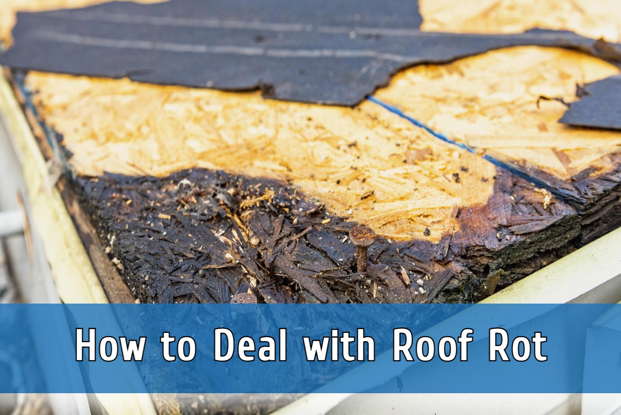 How to Deal with Roof Rot
