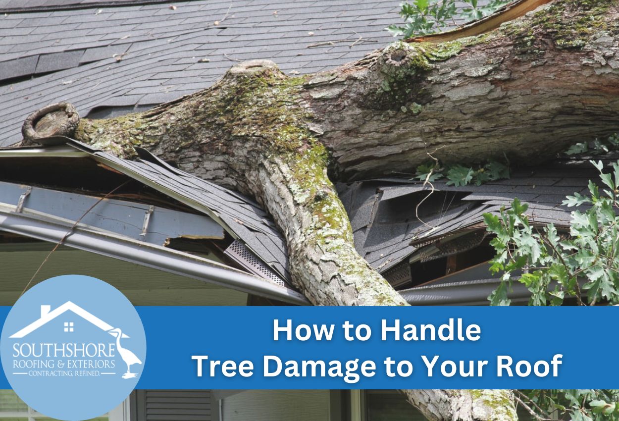 How to Handle Tree Damage to Your Roof