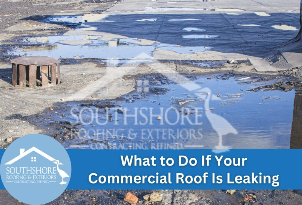 What to Do If Your Commercial Roof Is Leaking