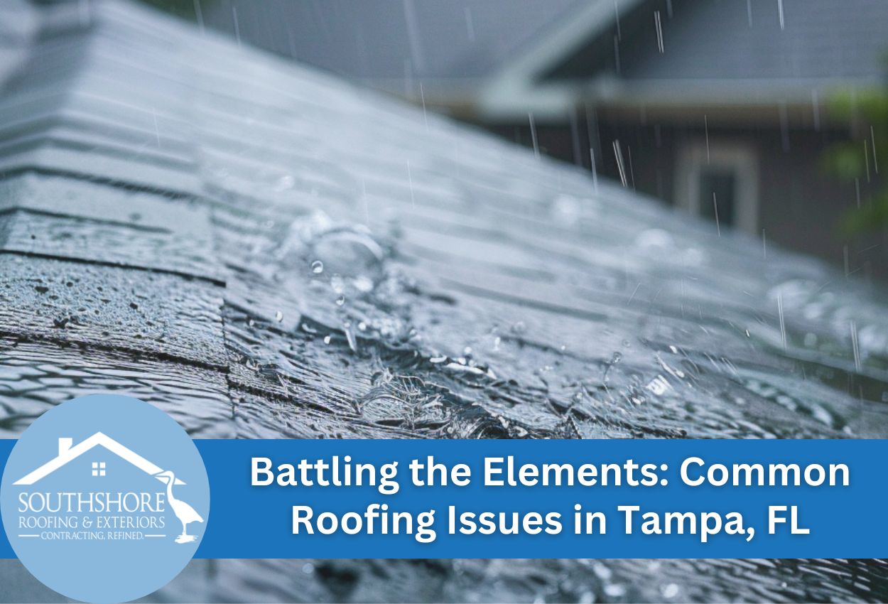 Battling the Elements: Common Roofing Issues in Tampa, FL