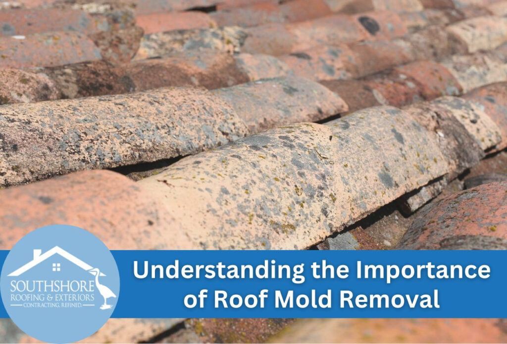 Understanding the Importance of Roof Mold Removal