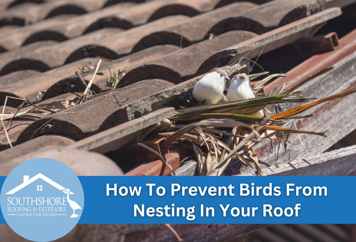 How To Prevent Birds From Nesting In Your Roof