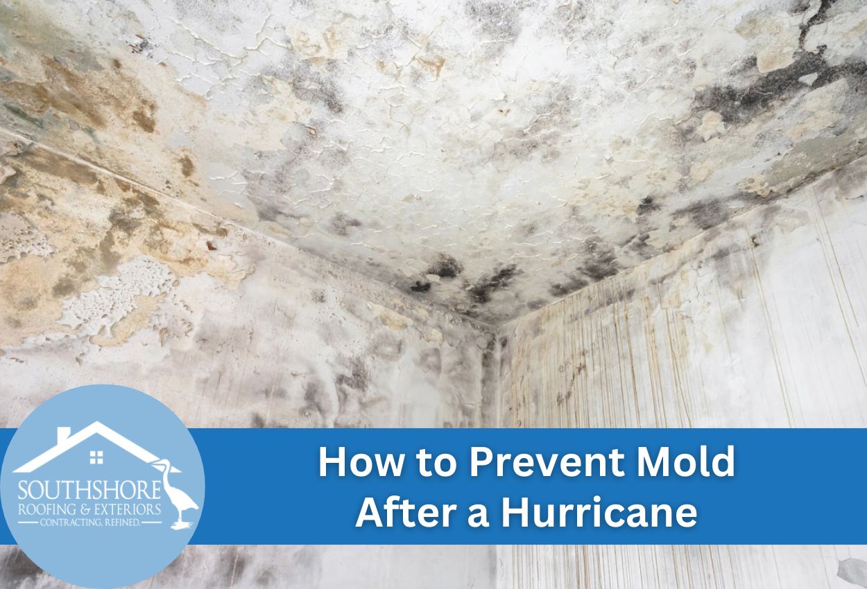 How to Prevent Mold After a Hurricane: Essential Tips and Strategies