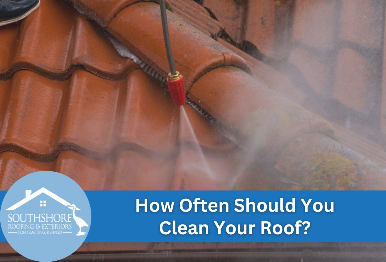 How Often Should You Clean Your Roof? Tips for Tampa Homeowners