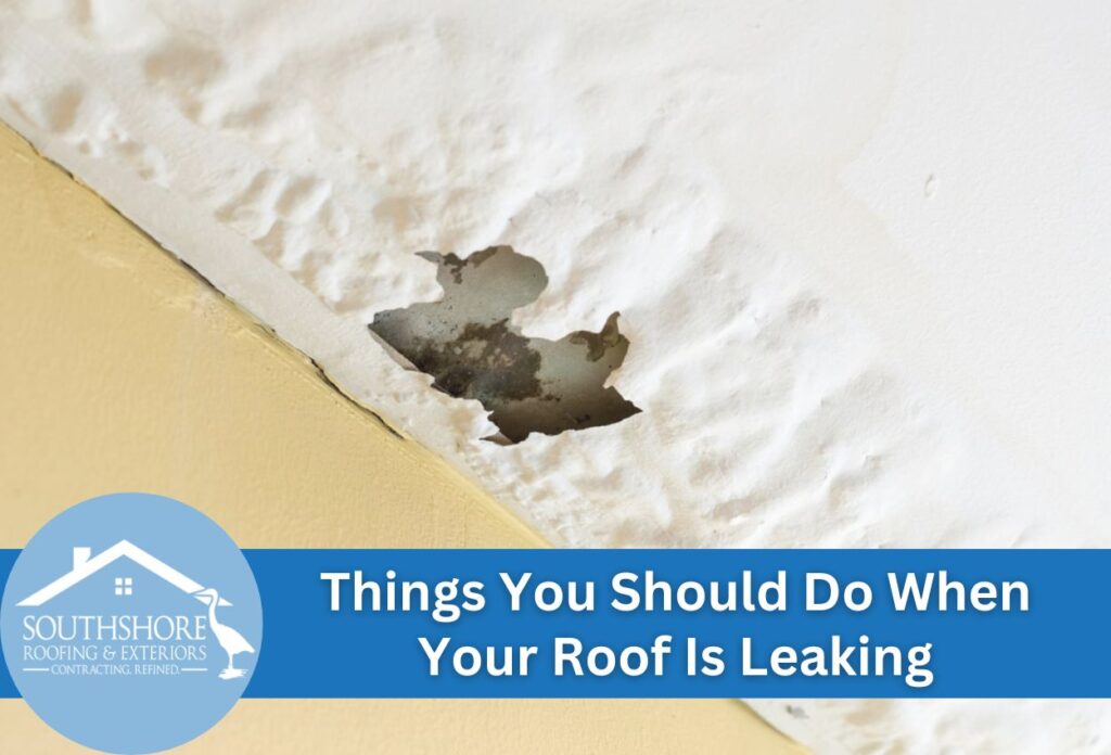 Things You Should Do When Your Roof Is Leaking