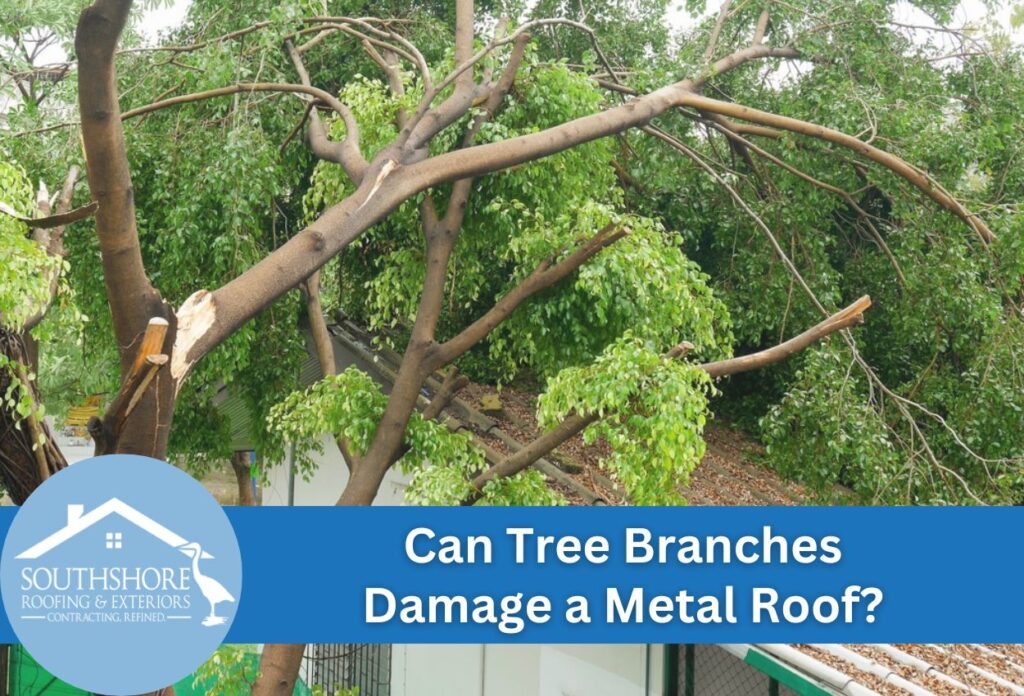 Can Tree Branches Damage a Metal Roof
