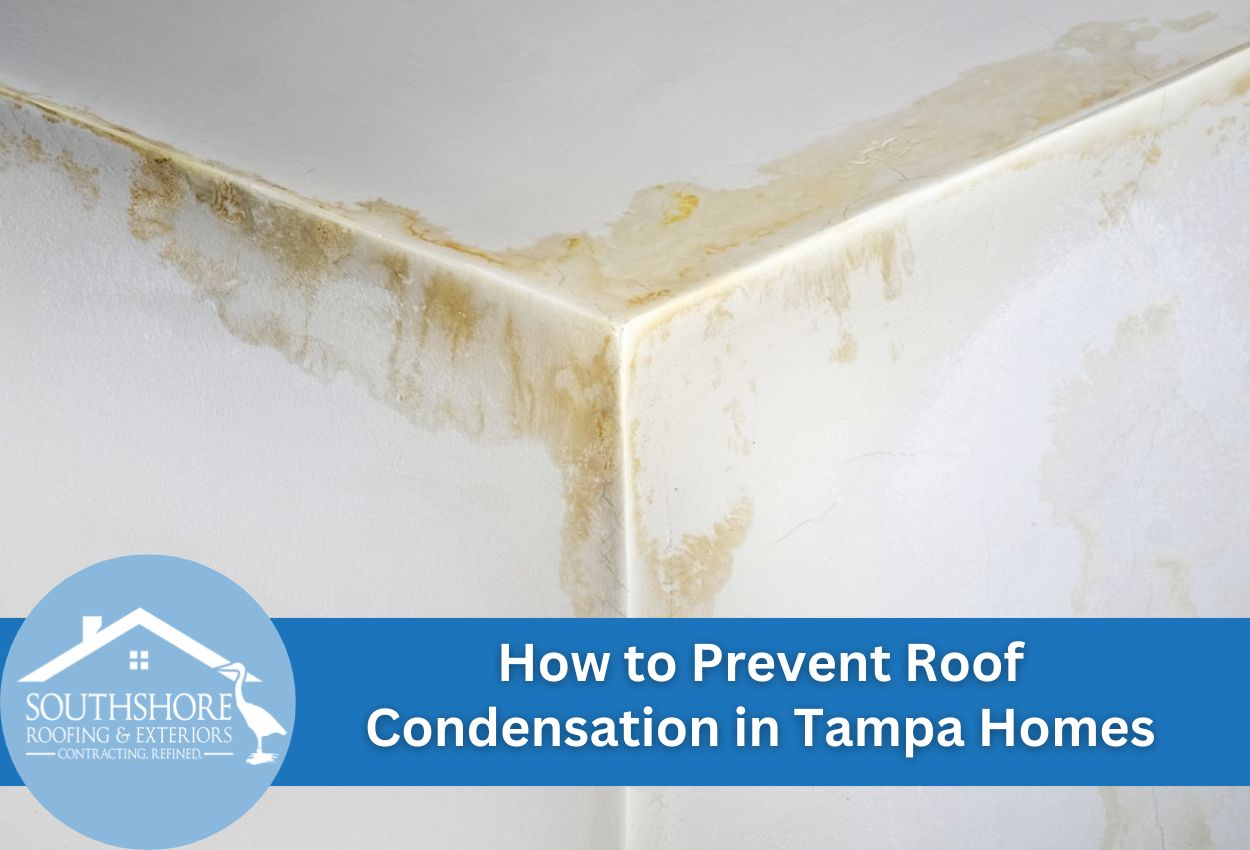 How to Prevent Roof Condensation in Tampa Homes