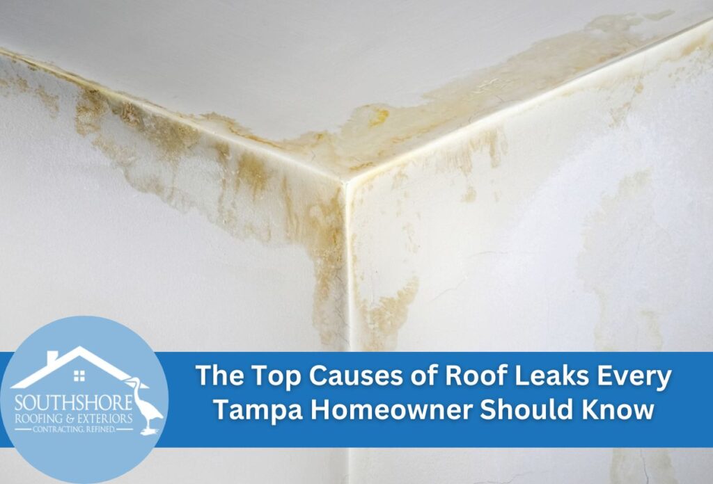 The Top Causes of Roof Leaks Every Tampa Homeowner Should Know