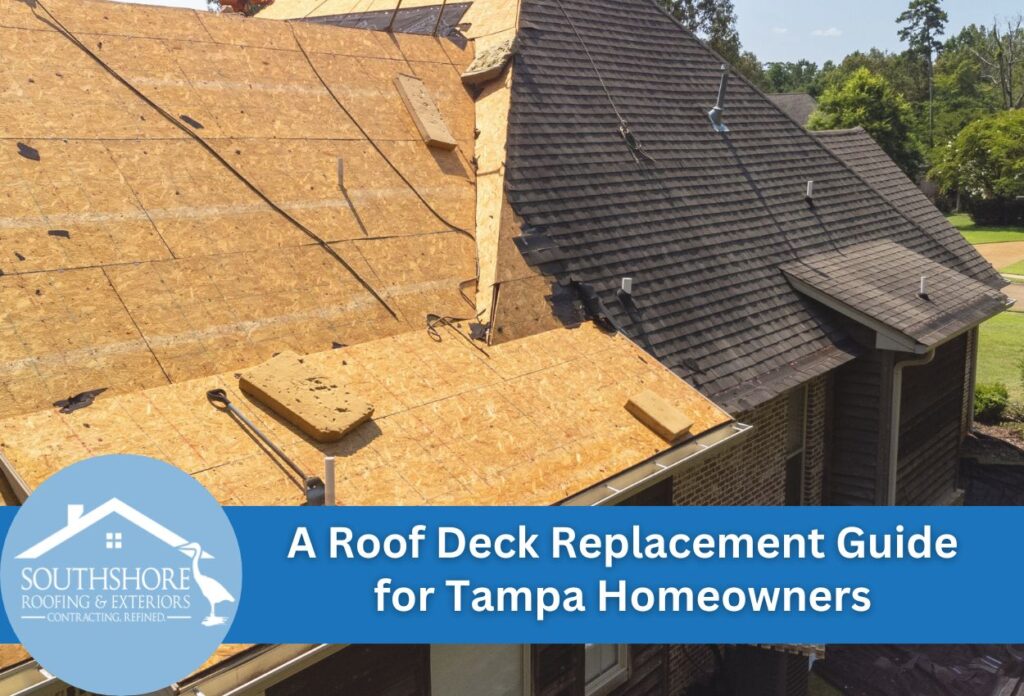 A Roof Deck Replacement Guide for Tampa Homeowners