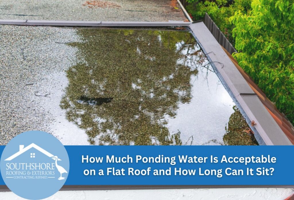 Ponding water on a flat roof with nearby greenery, highlighting drainage issue.