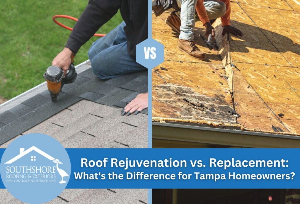 Comparison of roof rejuvenation and replacement options for homeowners.