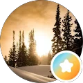 Mike Nolen Avatar